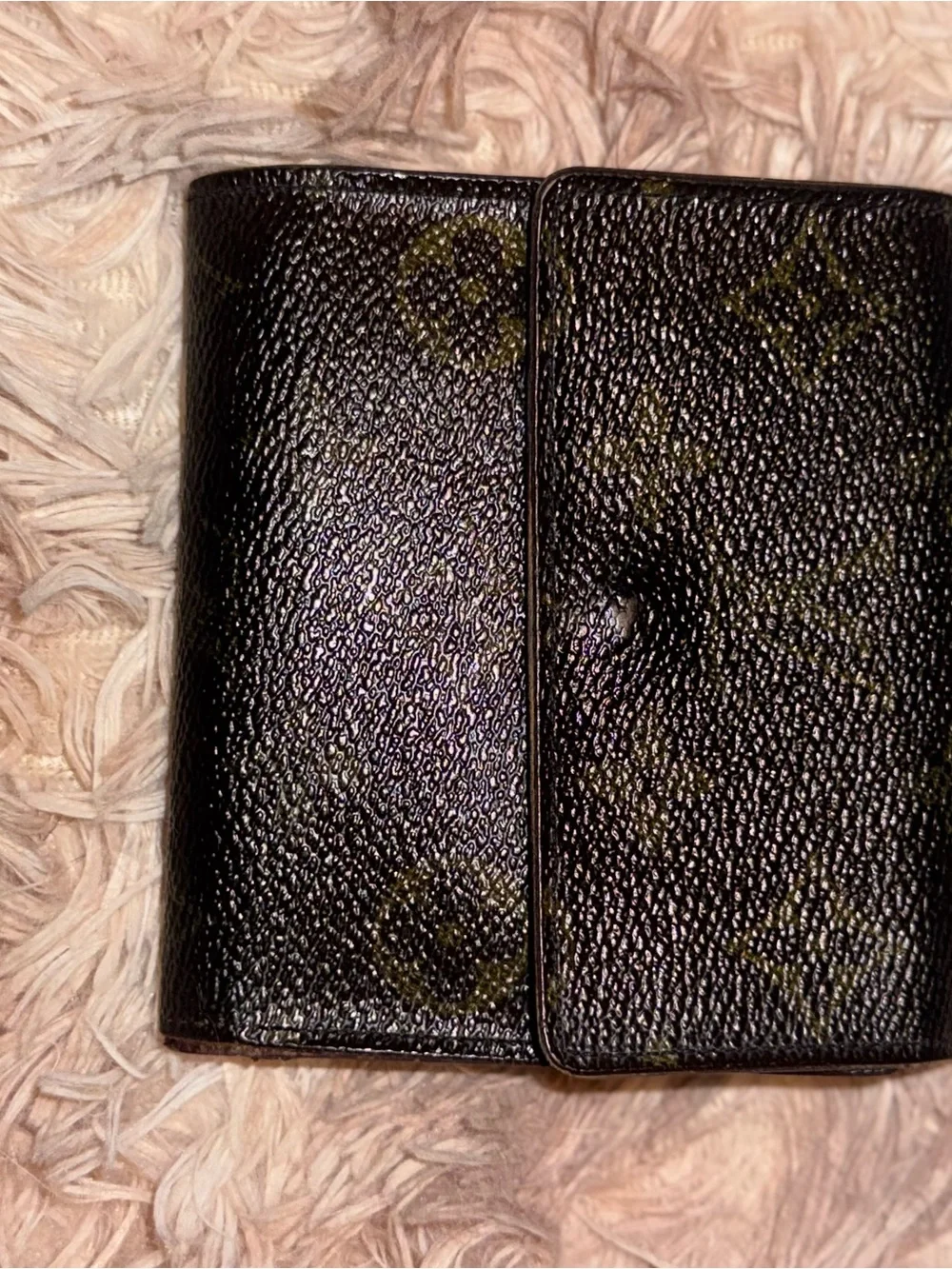 Louis Vuitton authentic louis